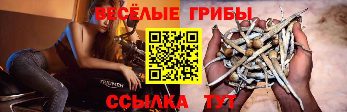 Уссурийск  Галлюциногенные грибы мухоморы  Вход с VPN 